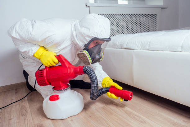 Best Commercial Pest Control  in Killeen, TX